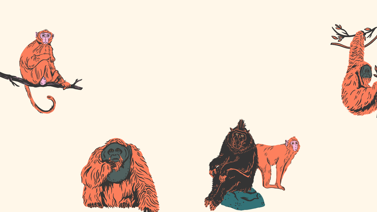 Project 1 screenshot